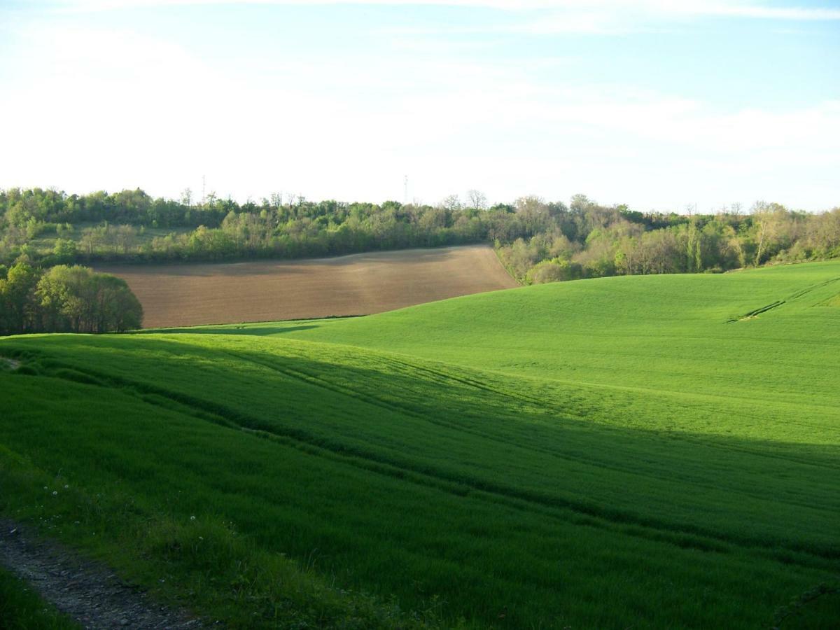 Loustalneou Bed and Breakfast Saint-Pierre-de-Clairac Exteriör bild